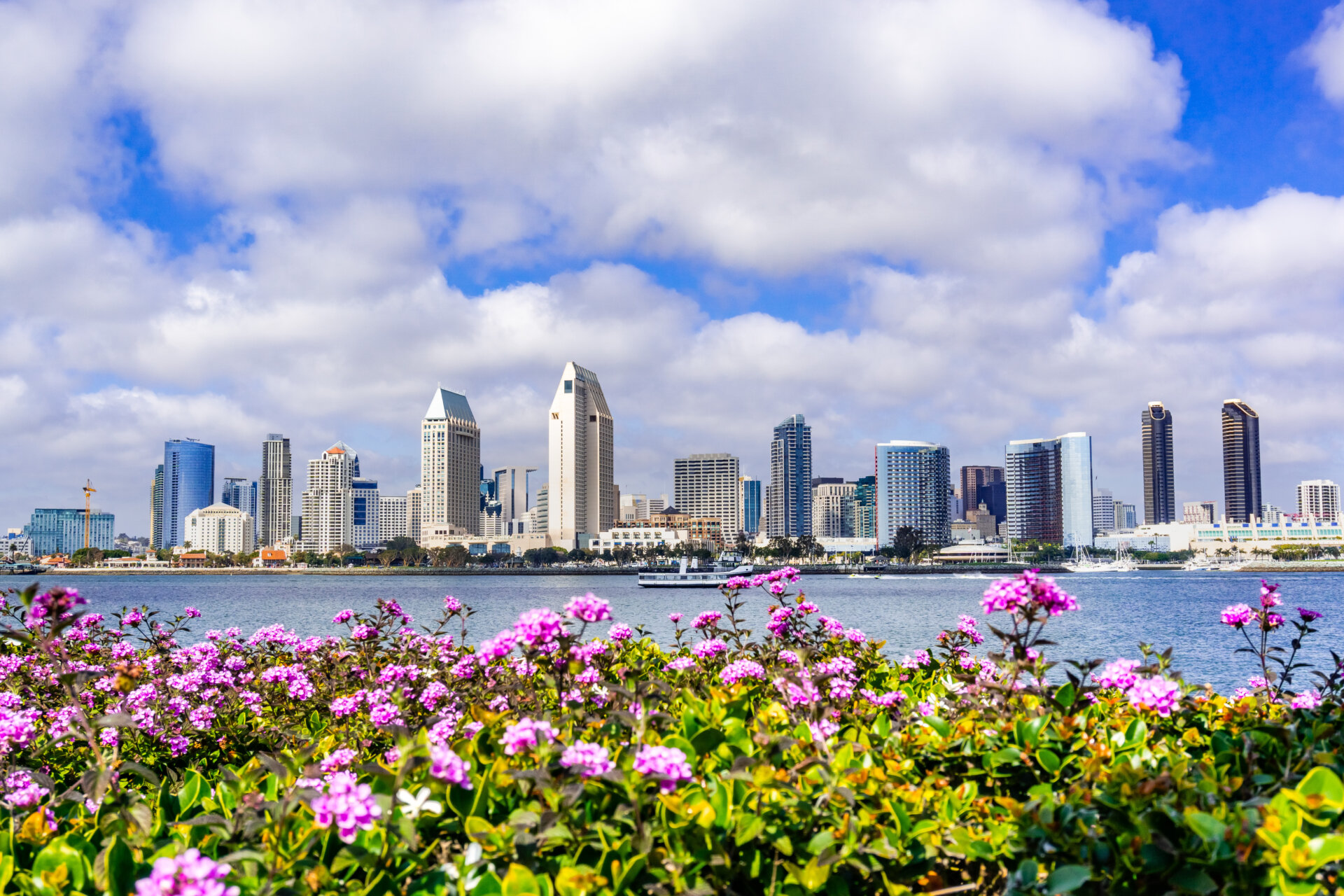 California – San Diego